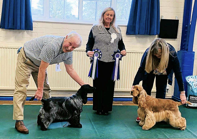 BIS & RBIS January 2026